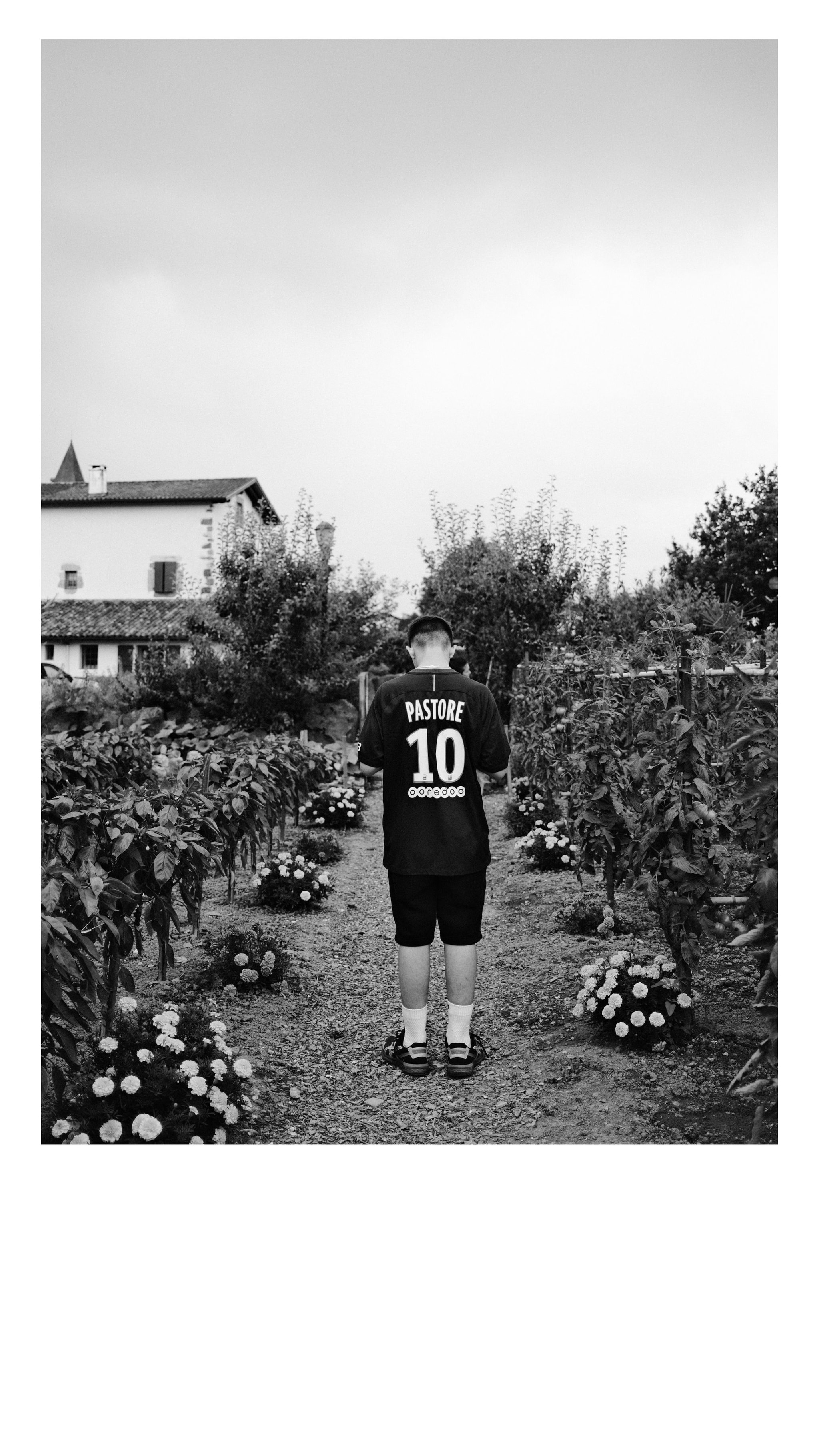 Potager
